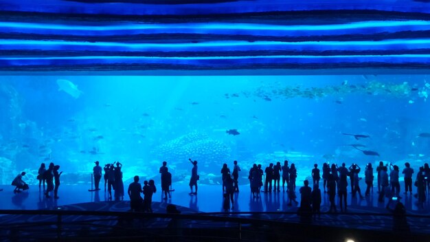 Foto vista ad alto angolo di un grande acquario di pesci