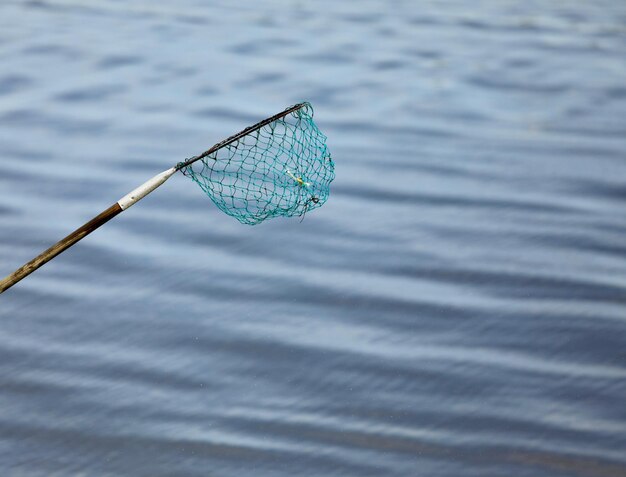 High angle view of leaf floating on water