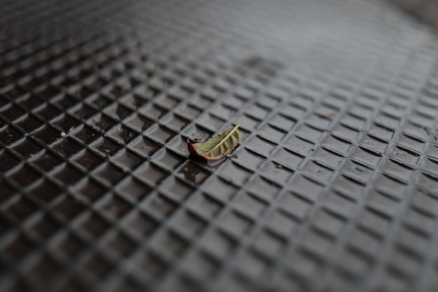 Photo high angle view of leaf on wet metal flooring