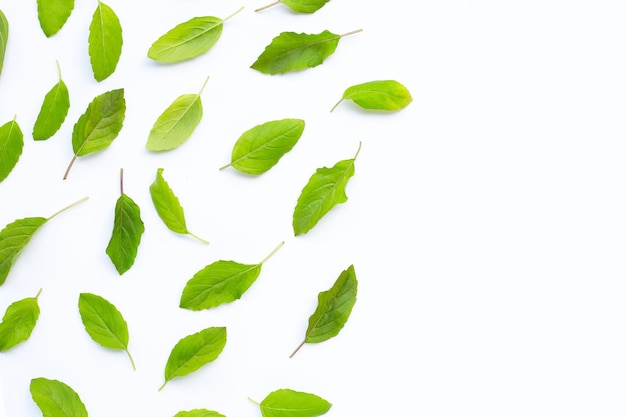 Photo high angle view of leaves against white background