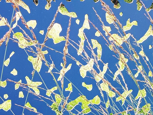 High angle view of leaves floating on lake