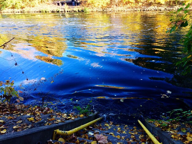 High angle view of leaves floating on lake