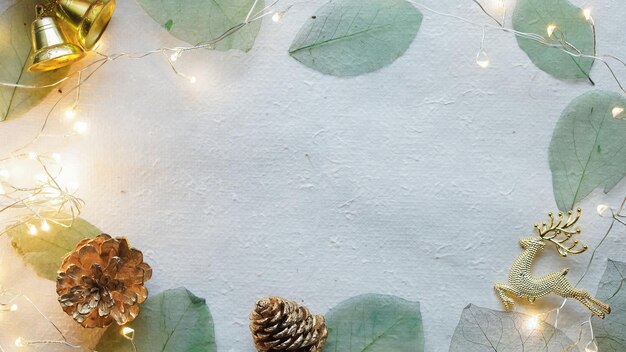 High angle view of leaves on plant against wall