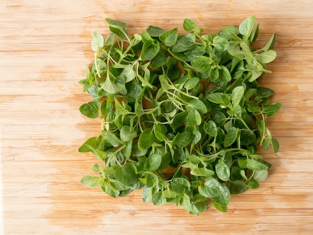 High angle view of leaves on wooden plank