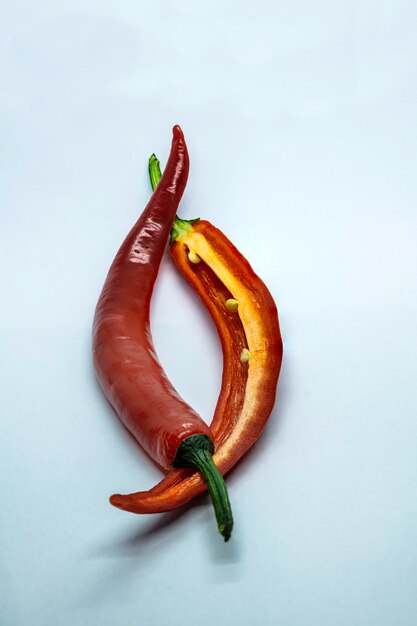 High angle view of lizard on plate against white background