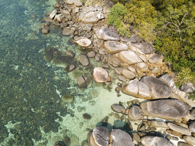 Foto vista ad alta angolazione della lucertola sulla roccia