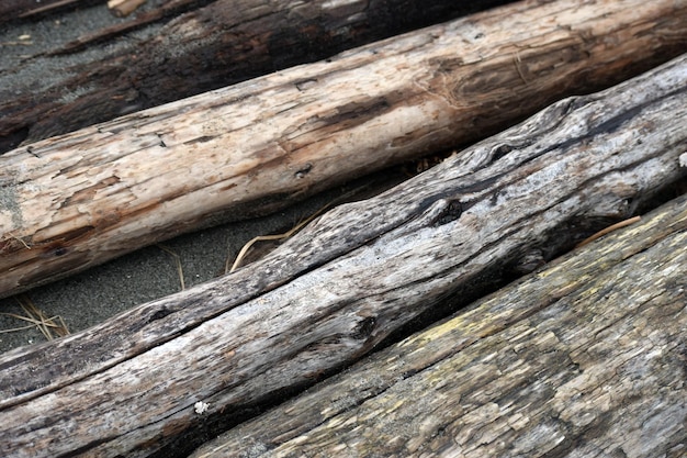 Photo high angle view of logs on field