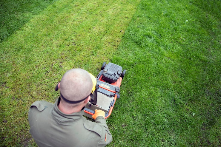 How often to mow a lawn How often to mow a lawn