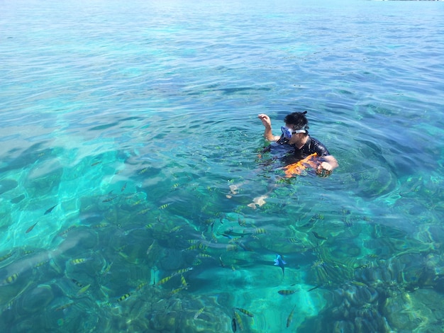 High angle view of man snorkeling in sea