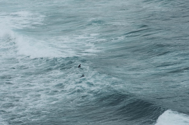 Photo high angle view of man swimming in sea