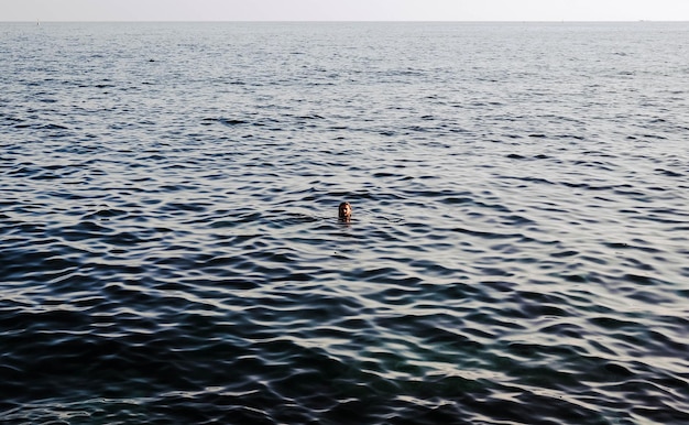 high angle view of man swimming in the sea