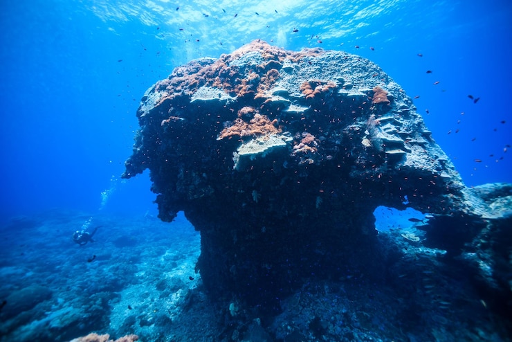 Фотография высокоугольный вид человека, плавающего в море