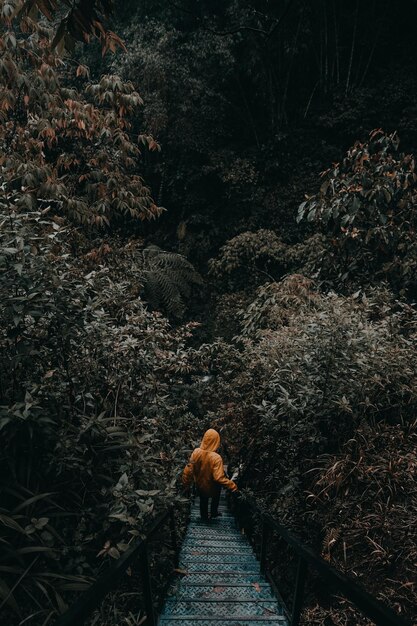 High angle view of man walking down on staircase amidst plants