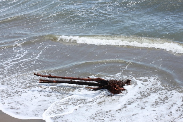 Photo high angle view of man in water