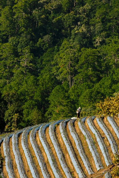 Photo high angle view of man working by landscape