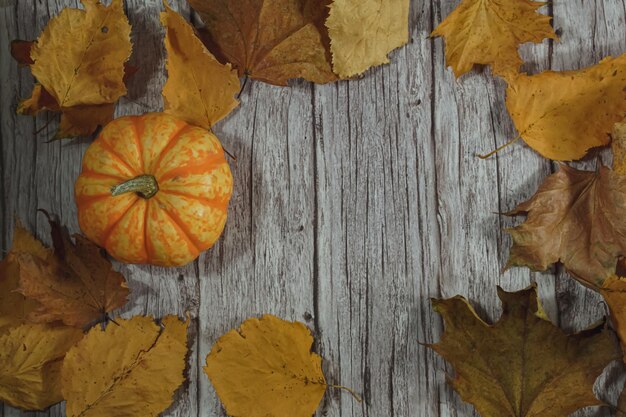 High angle view of maple leaves on wood during autumn