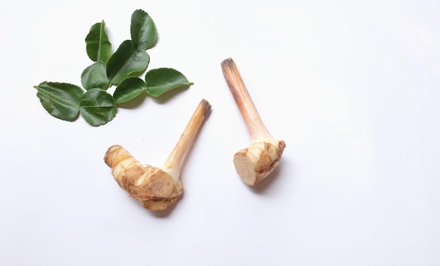 Photo high angle view of meat and leaves on white background