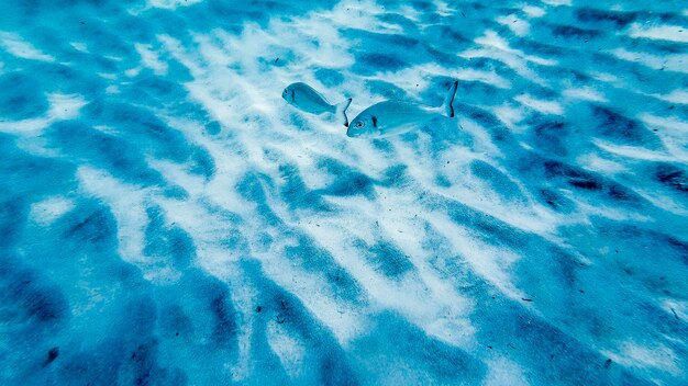 High angle view of mediterranen sea