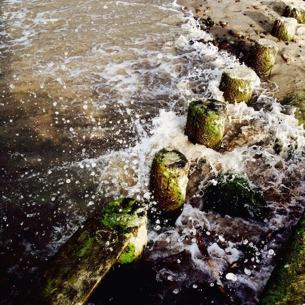 High angle view of moss covered wooden posts at beach