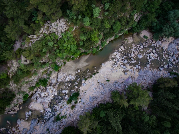 High angle view of moss growing on rocks