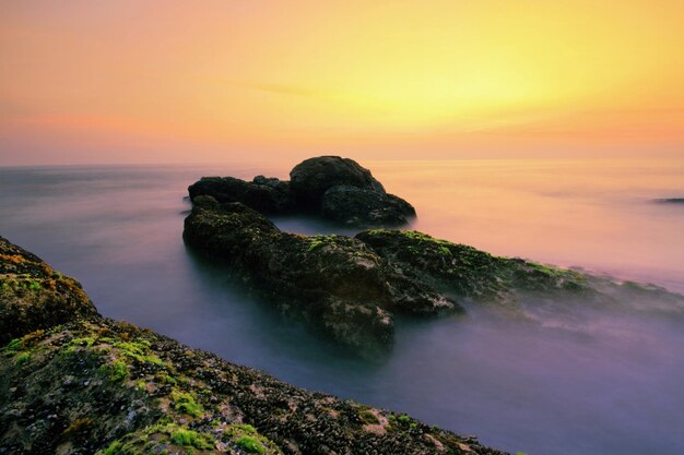 High angle view of moss rocks at calm sea