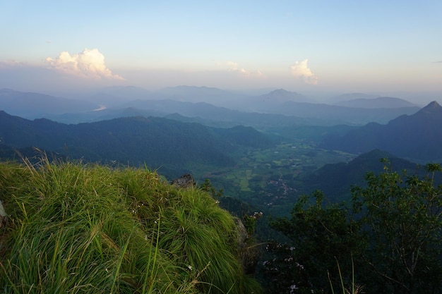 霧の天候で山の高角度の景色