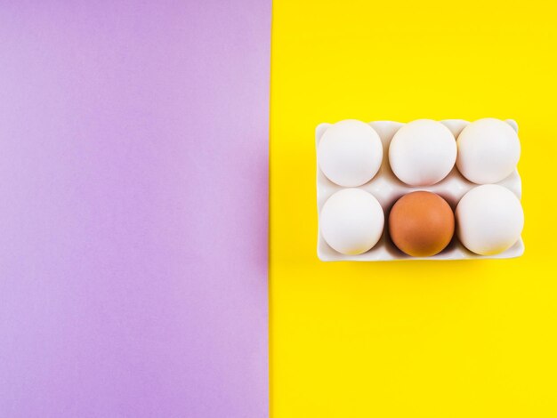 High angle view of multi colored candies