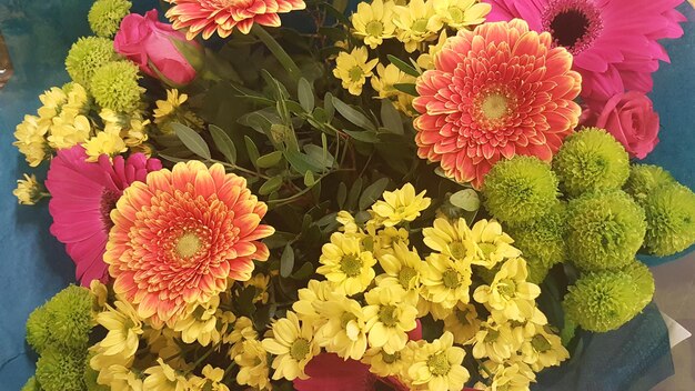 High angle view of multi colored flowers blooming outdoors