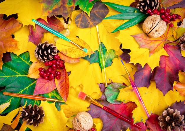 High angle view of multi colored fruits on table