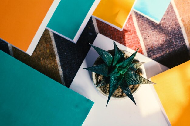 Photo high angle view of multi colored papers with indoor plants