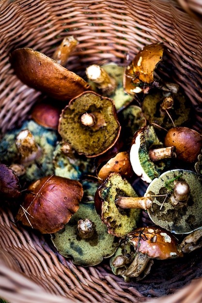 Photo high angle view of mushrooms in basket