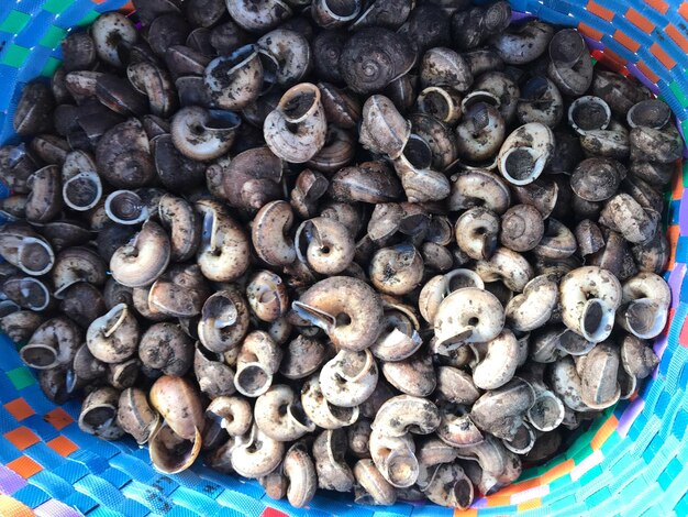 High angle view of mushrooms in basket