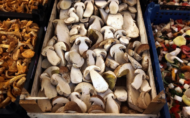 Foto vista ad alta angolazione dei funghi alla bancarella del mercato