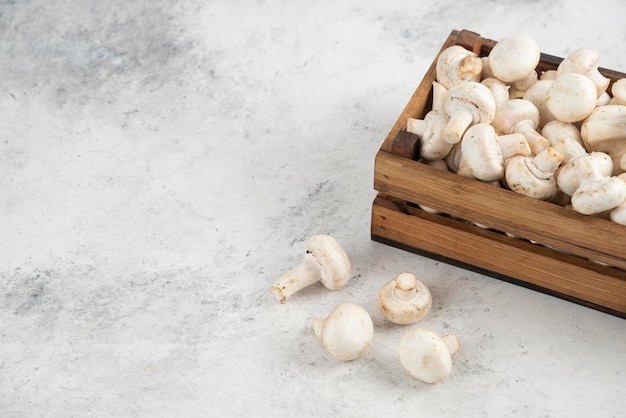 High angle view of mushrooms on wood