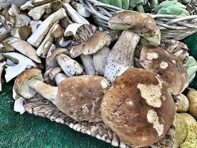 Foto vista ad alta angolazione dei funghi sul legno