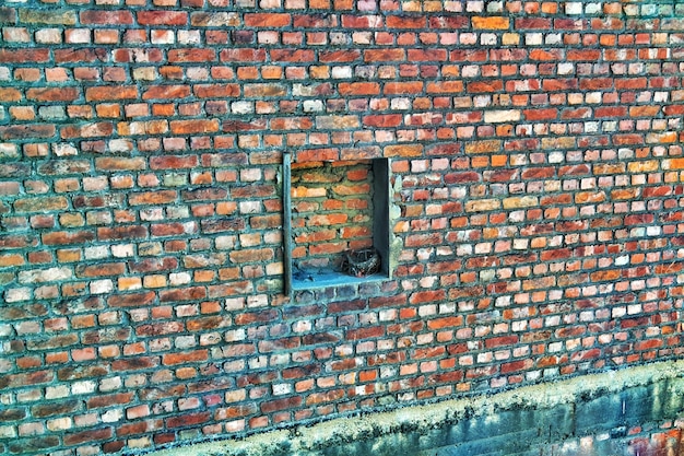 Photo high angle view of nest in niche of brick wall