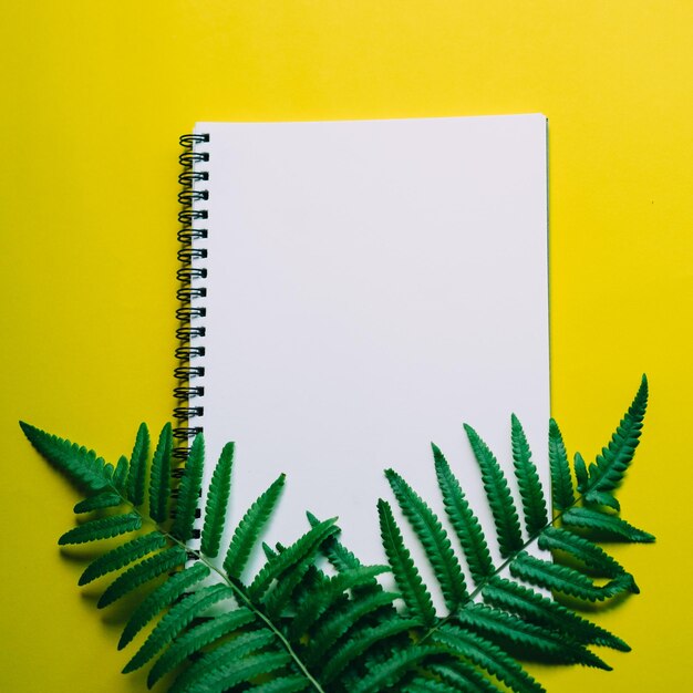 High angle view of note pad and ferns on yellow background