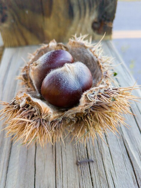 Photo high angle view of nut on table