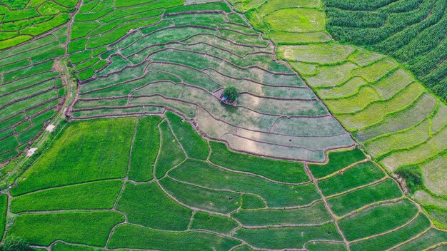 写真 農業用畑の高角度の視点