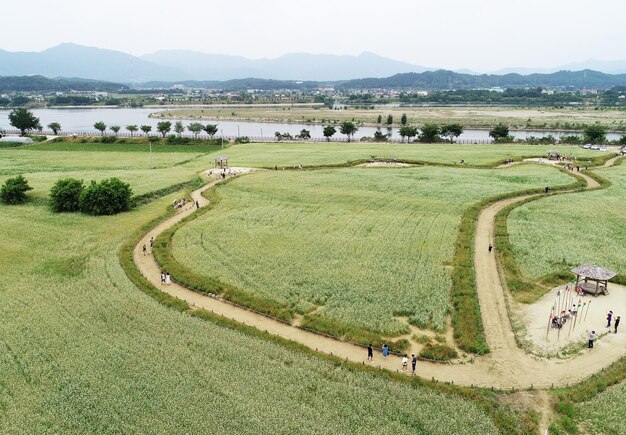 写真 天空を背景にした農業景観の高角度の景色