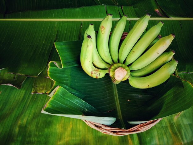 写真 植物上のバナナの葉の高角度の視点