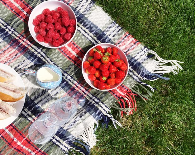 Фото Высокоугольный вид ягод в контейнерах на одеяле для пикника на поле