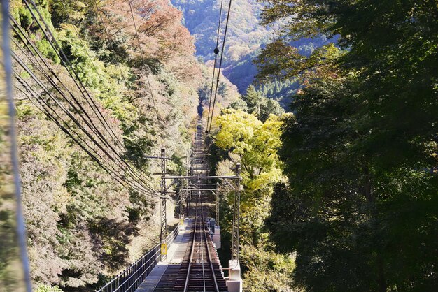 写真 山の向こうの橋の高角度の景色