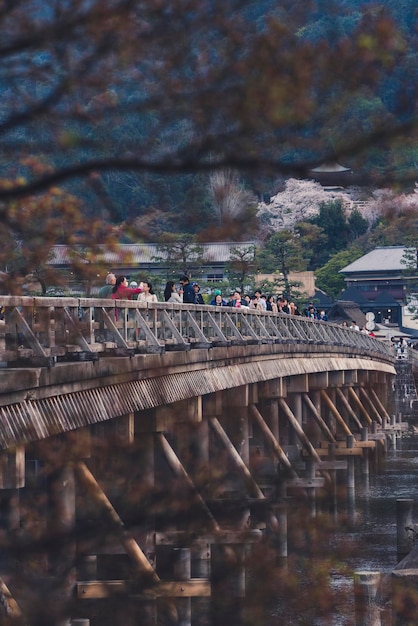 写真 都市の橋の高角度の景色