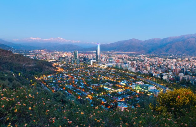 写真 空に向かって都市の建物の高角度のビュー