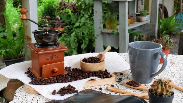 写真 コーヒーと鉢の植物の高角度の眺め