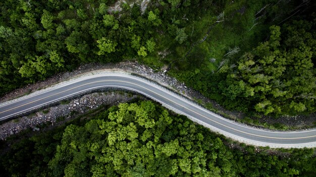 Фото Высокоугольный вид на сельскую дорогу среди деревьев в лесу