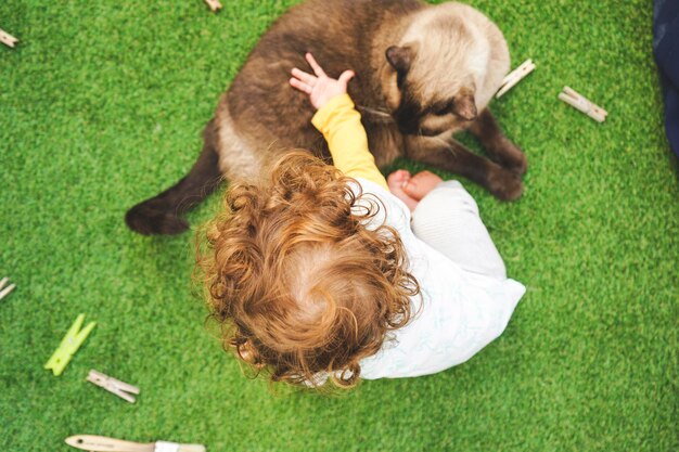 写真 草の上でリラックスしている犬のハイアングルビュー