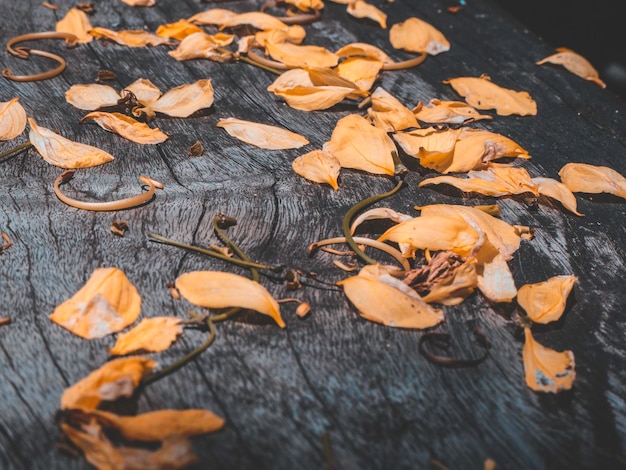 Фото Высокоугольный вид сухих листьев на столе