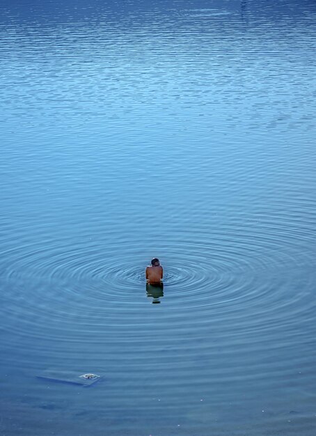 写真 湖で泳ぐアヒルの高角度の景色